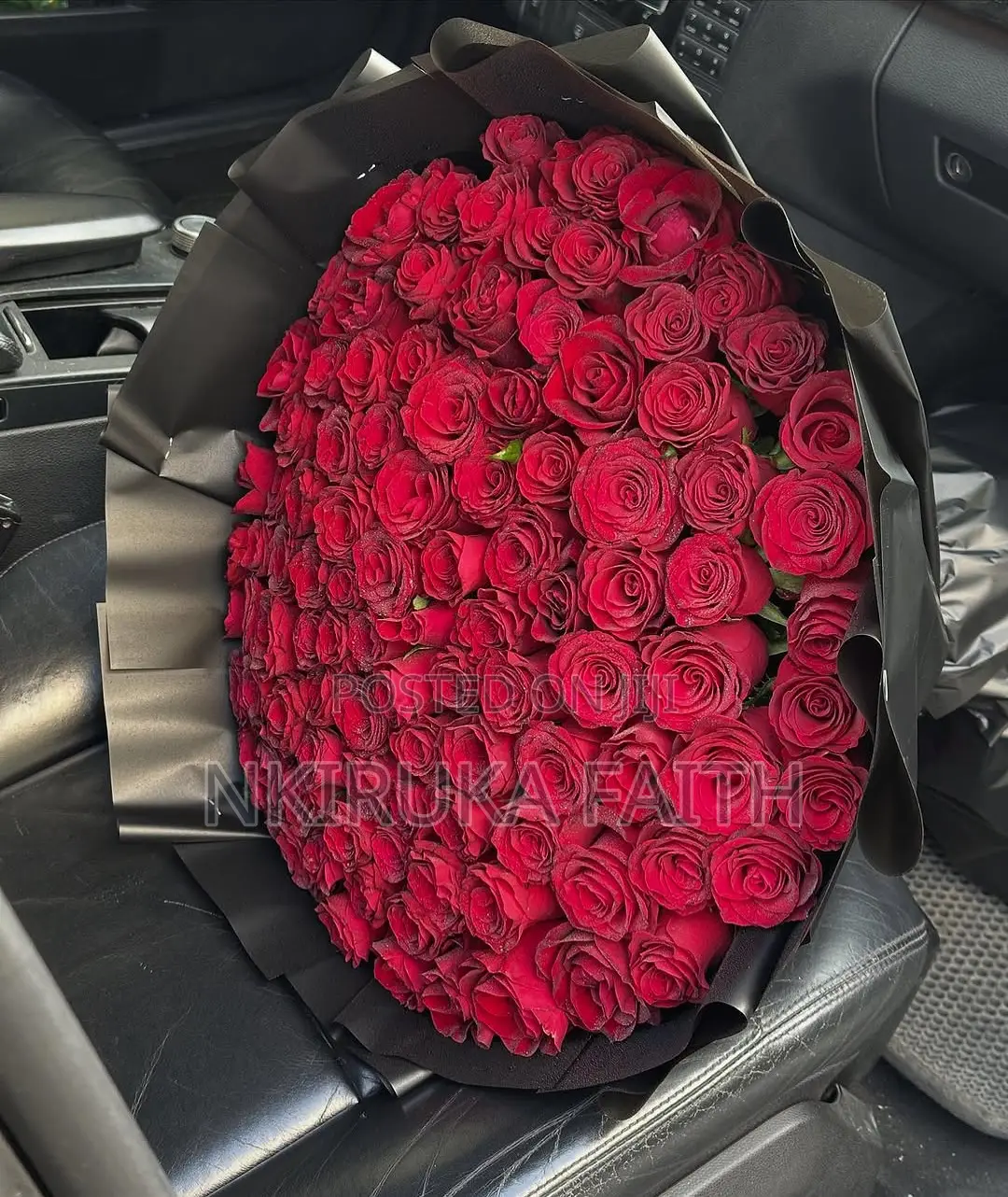 Fresh Roses