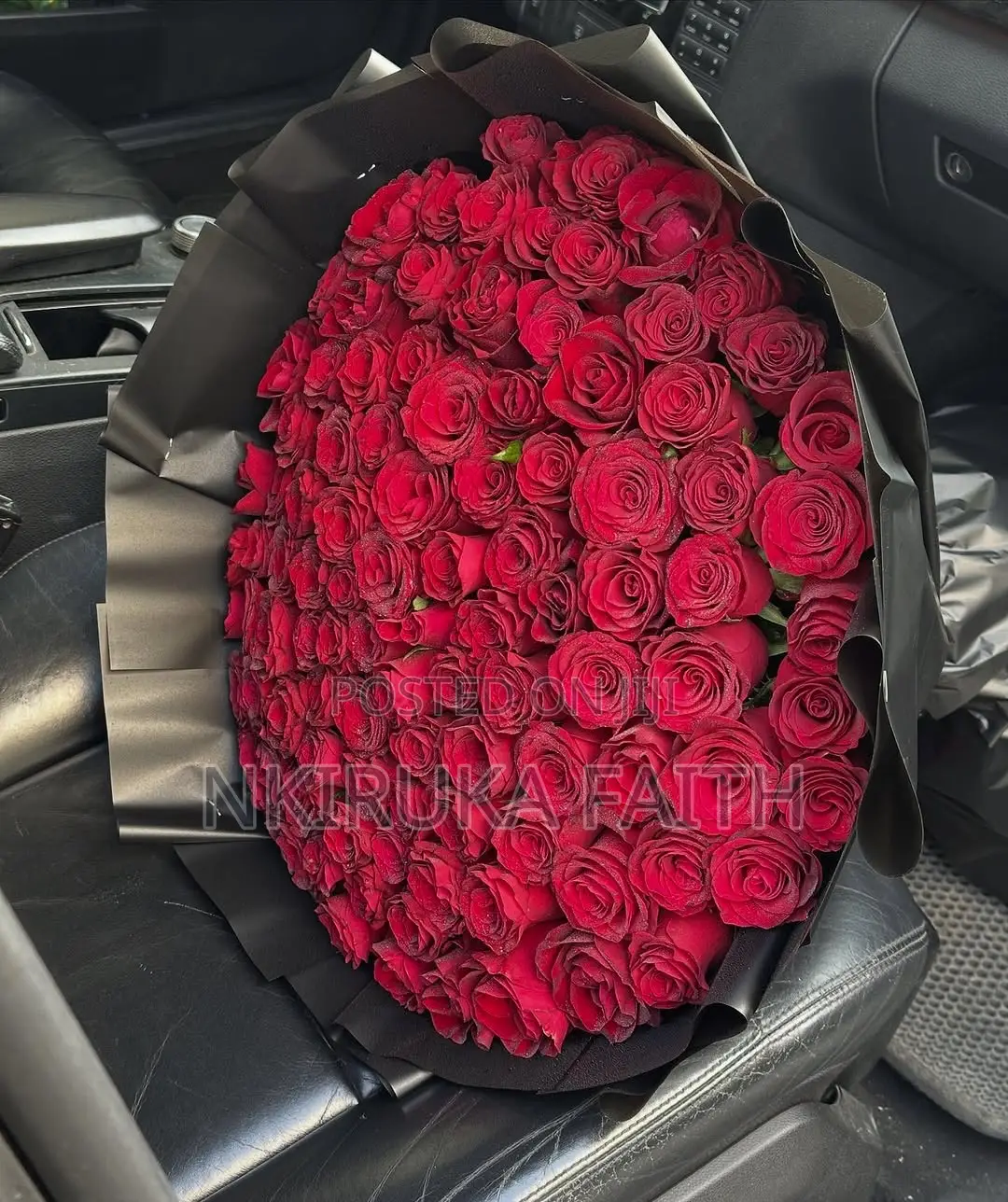 Fresh Roses
