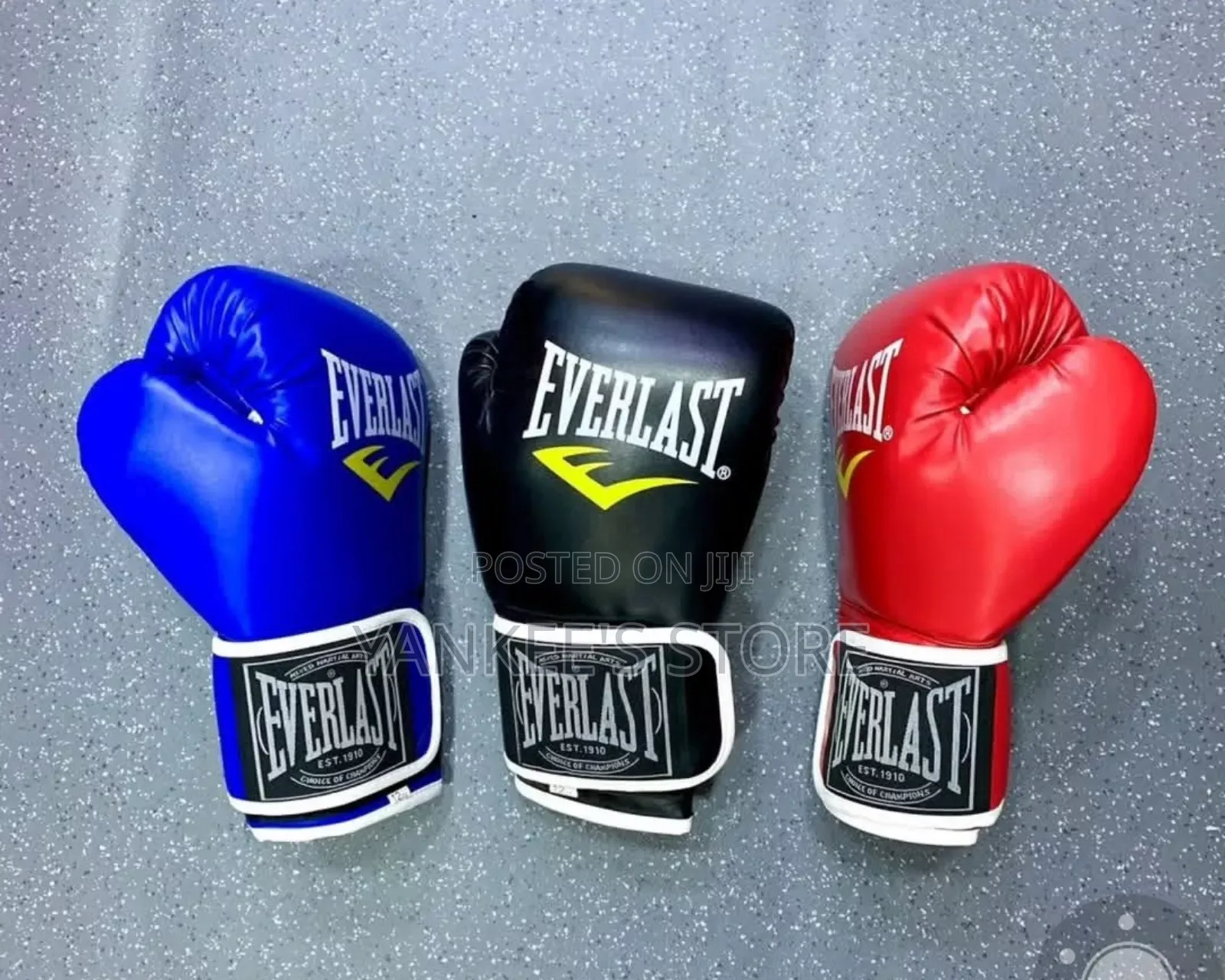 Brand New Everlast Boxing Gloves