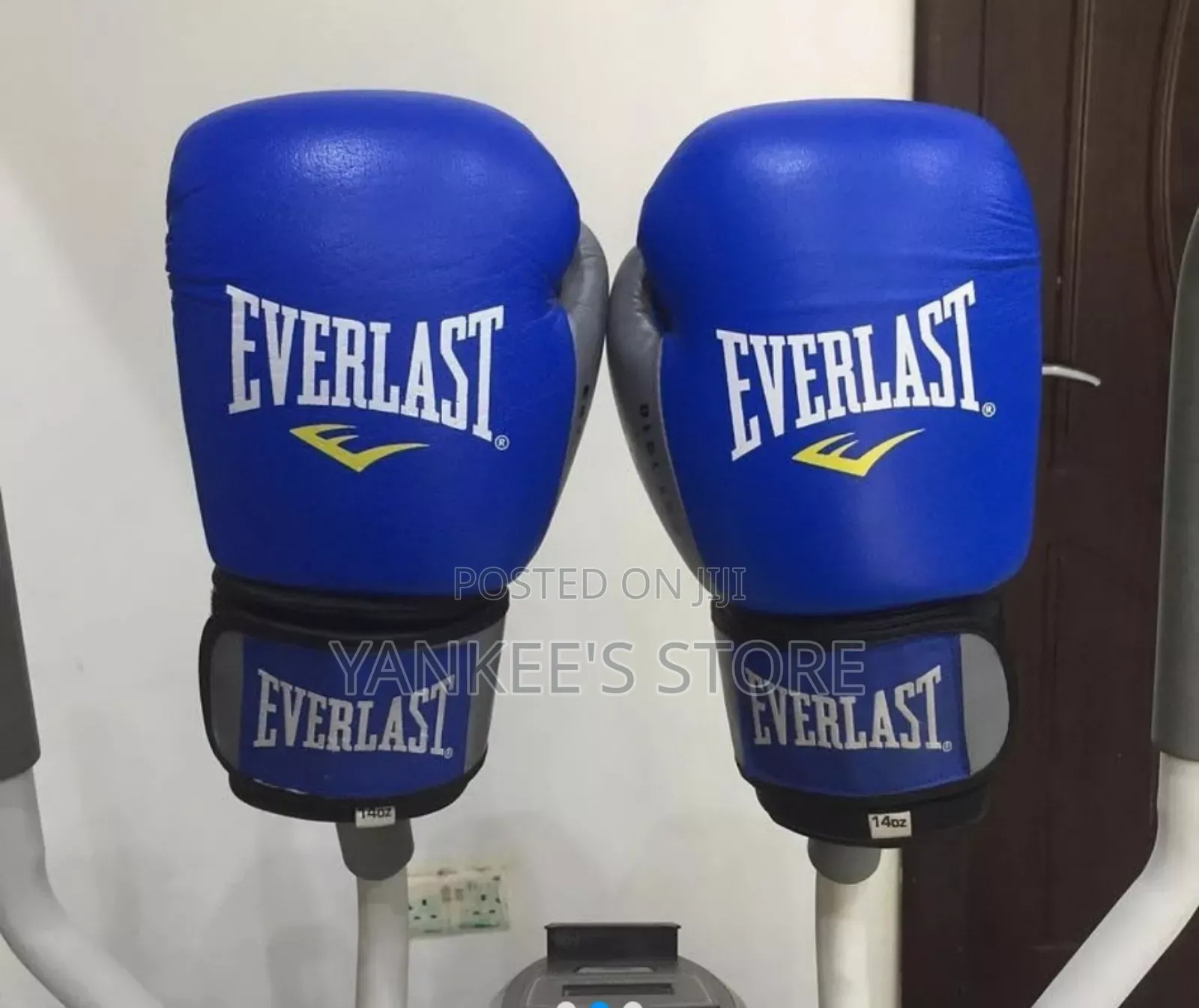 Brand New Everlast Boxing Gloves