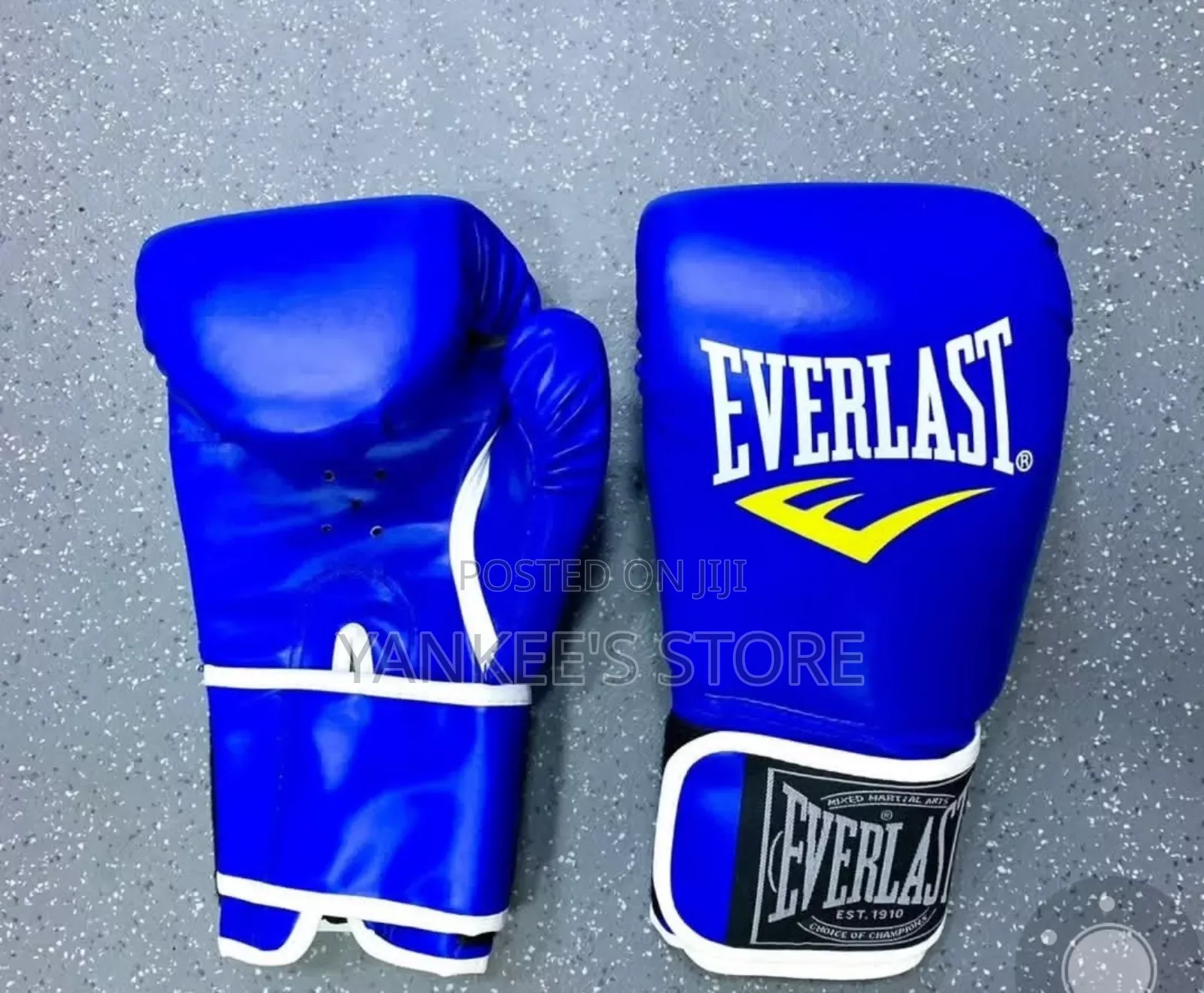 Brand New Everlast Boxing Gloves