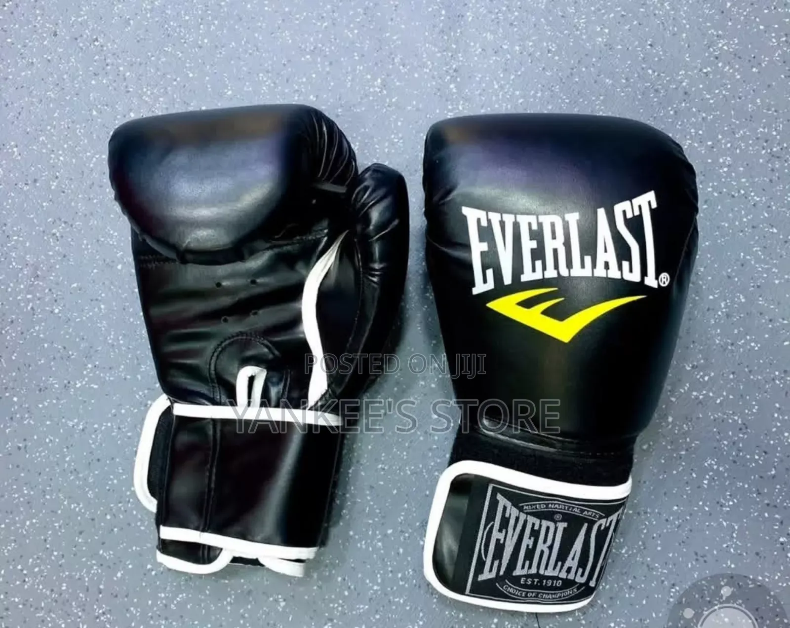 Brand New Everlast Boxing Gloves