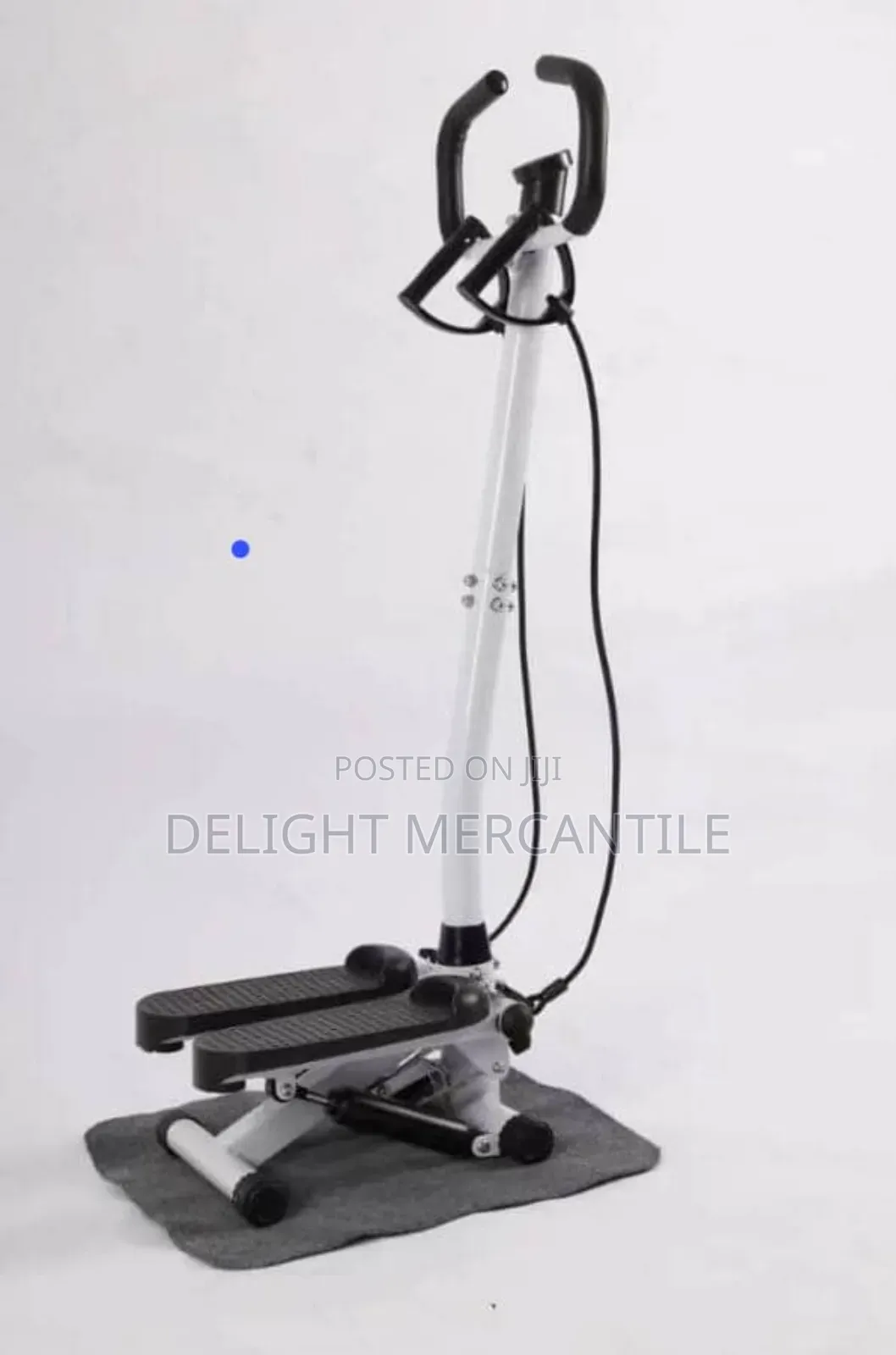 Stepper With Handle and Resistance Rope