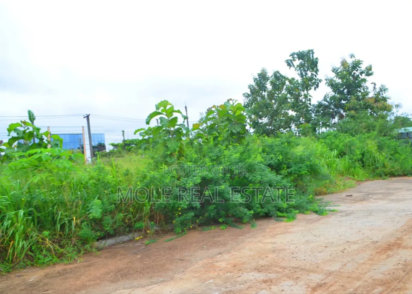 30ft by 120ft (Half Plot ) Baptist Bustop Ijegamo New Expressway