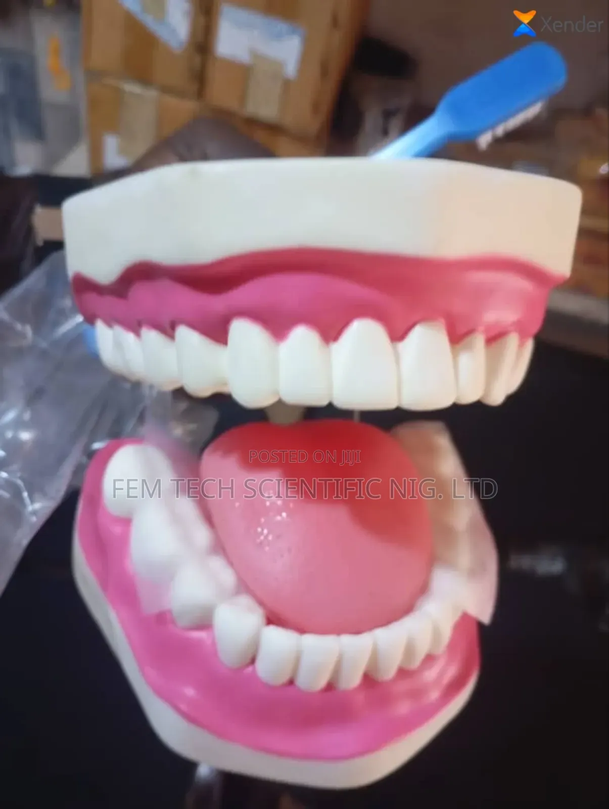 Human Teeth Laboratory