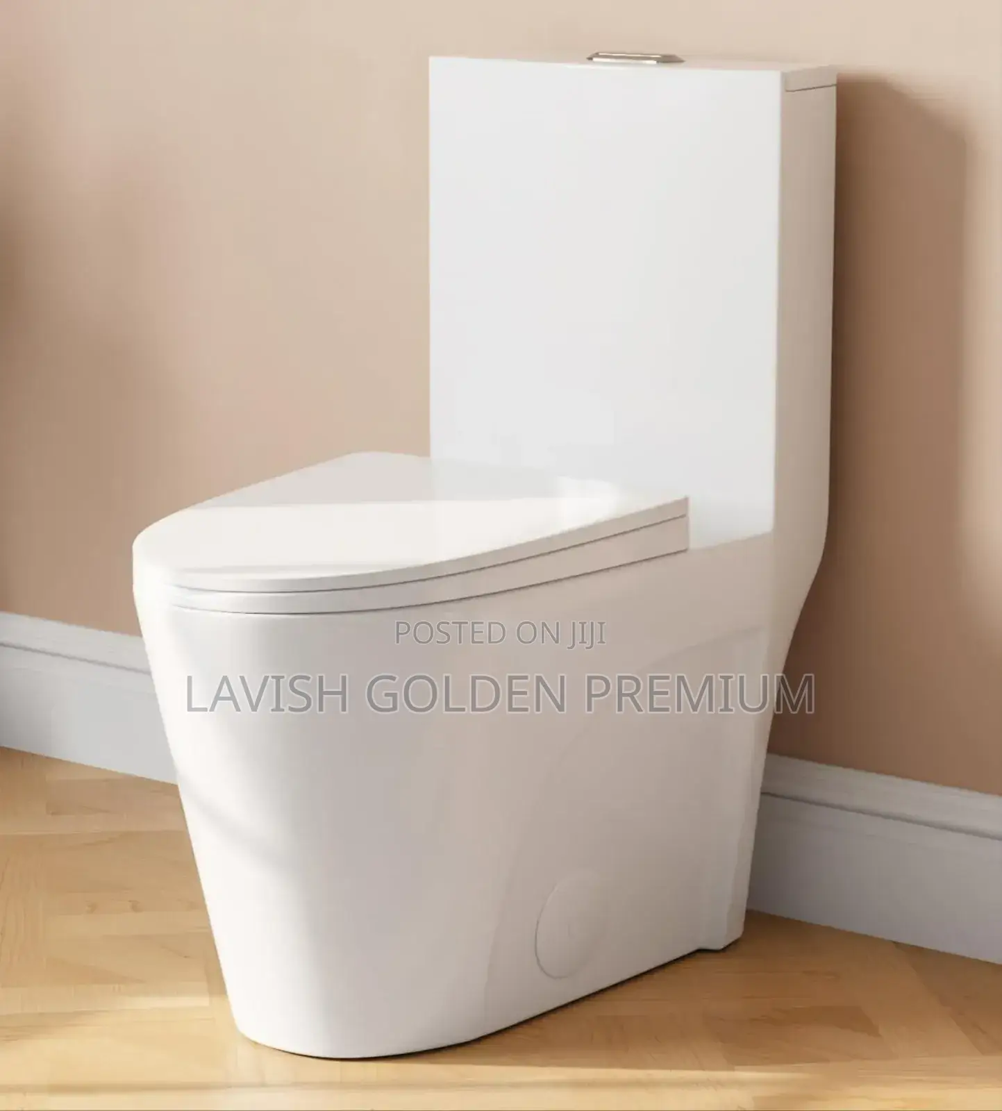 Delinco One-Piece Water Closet Executive Toilet