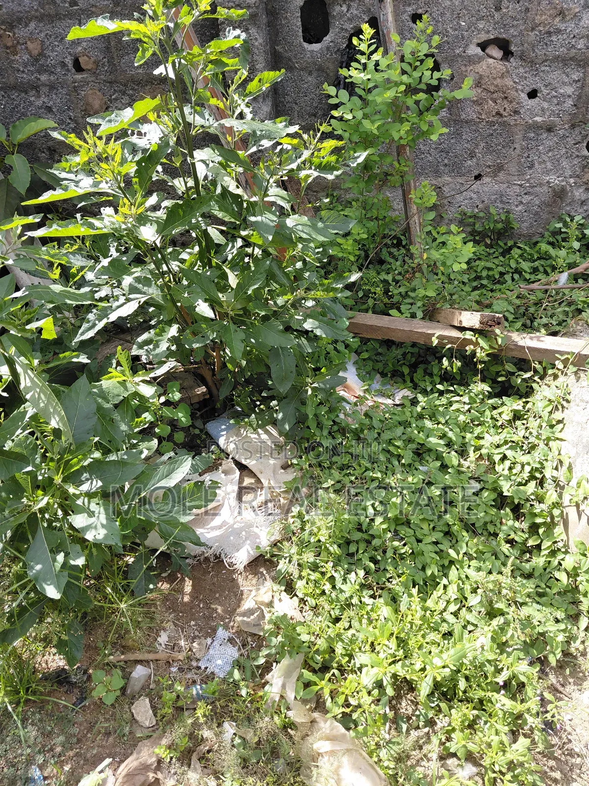 1,300sqm (2 Plots ) Facing 2 Streets Ijegun Ikotun Axis