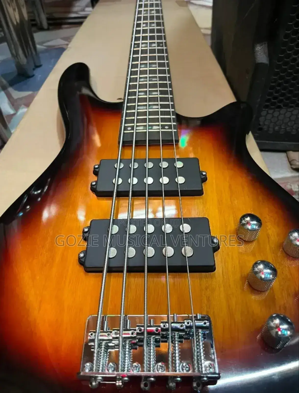 Wellsound Active Five String Electric Guitar 