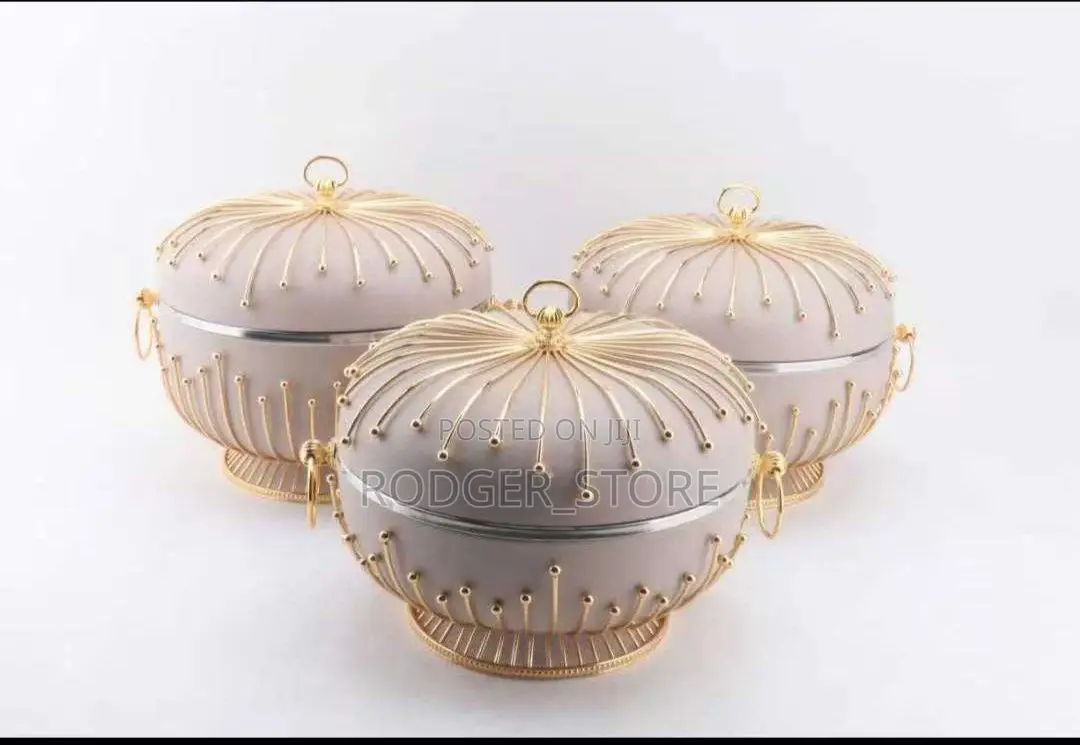 Elegant Thermos Food Warmer