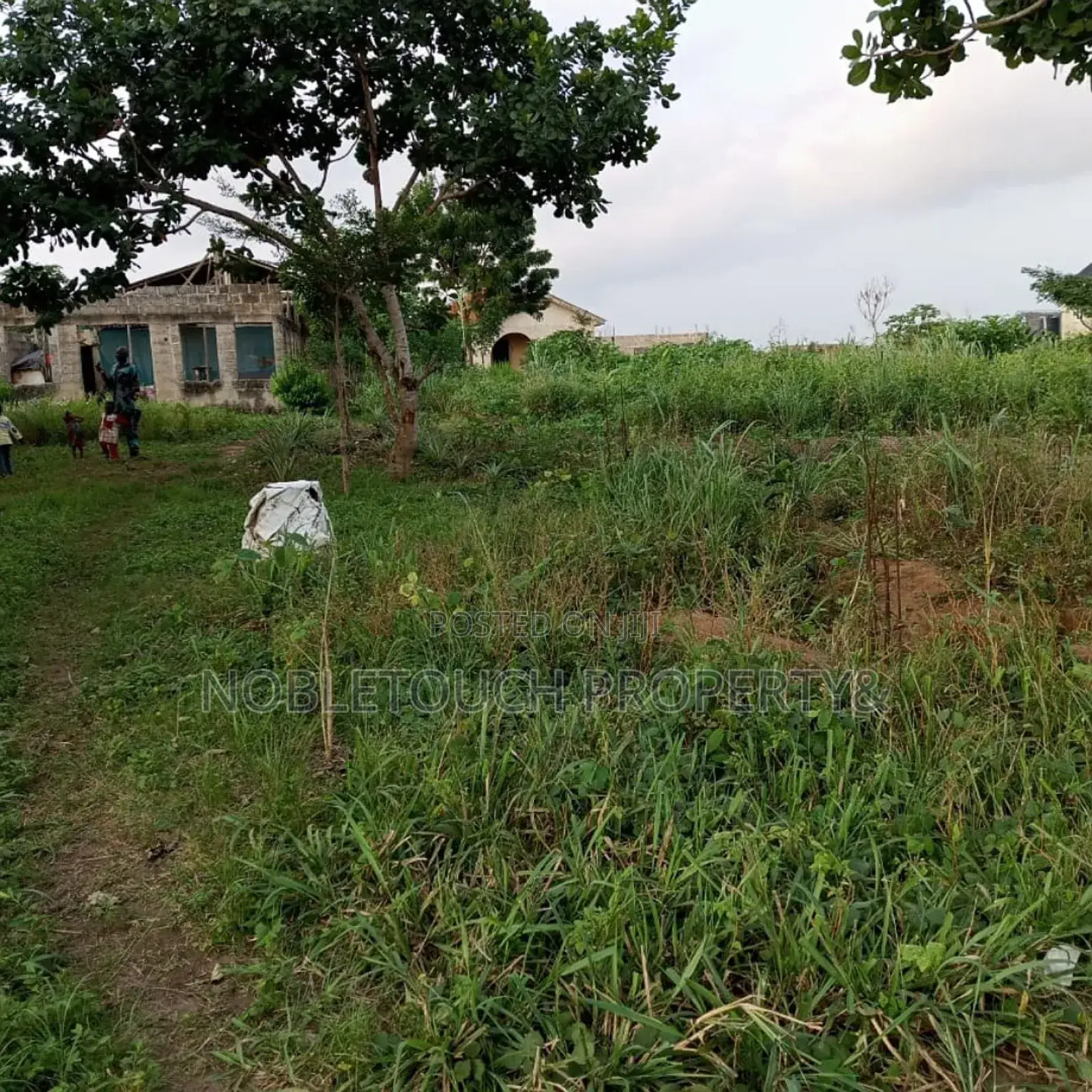 2 Half Plot of Dry Land at Okeore Ogun State