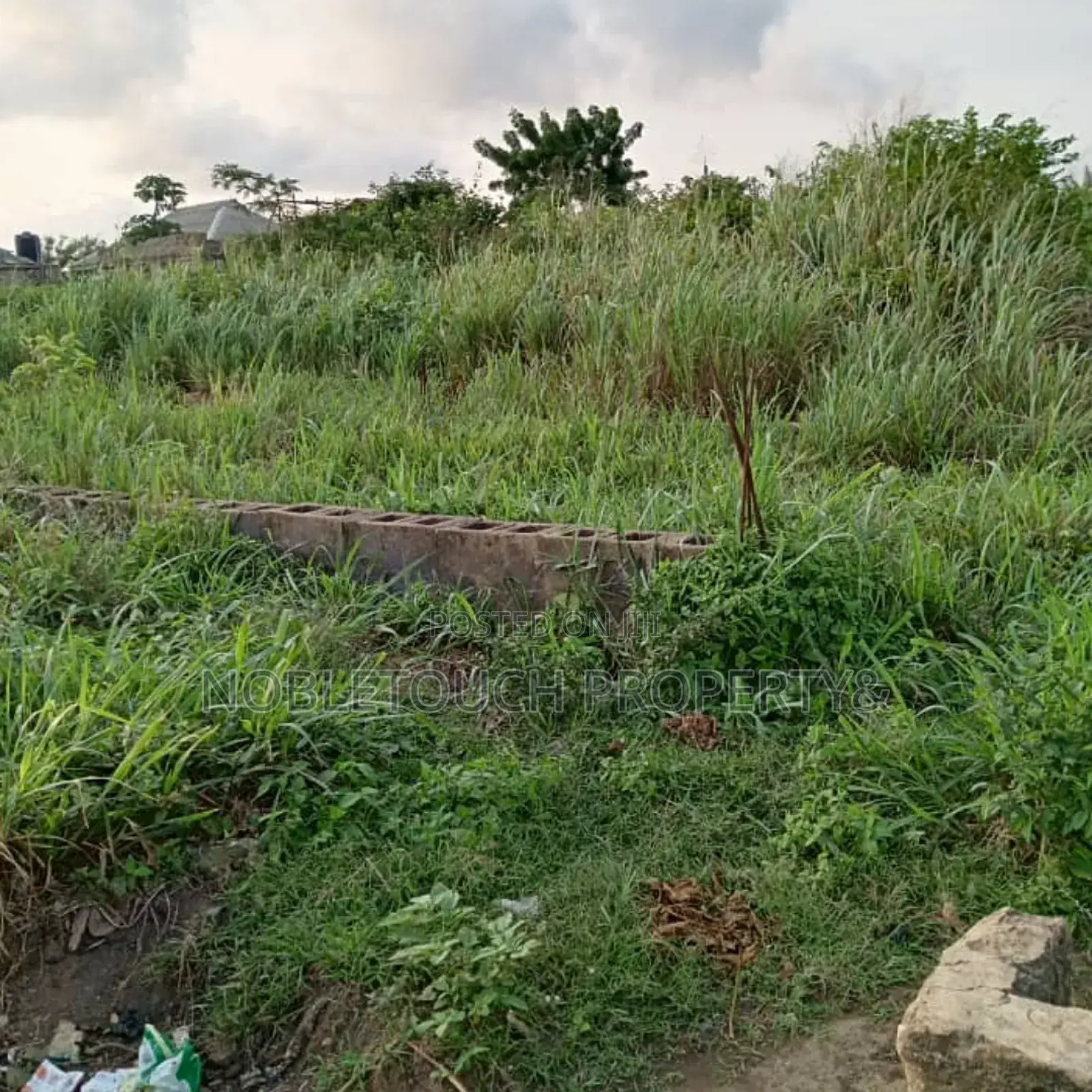 2 Half Plot of Dry Land at Okeore Ogun State