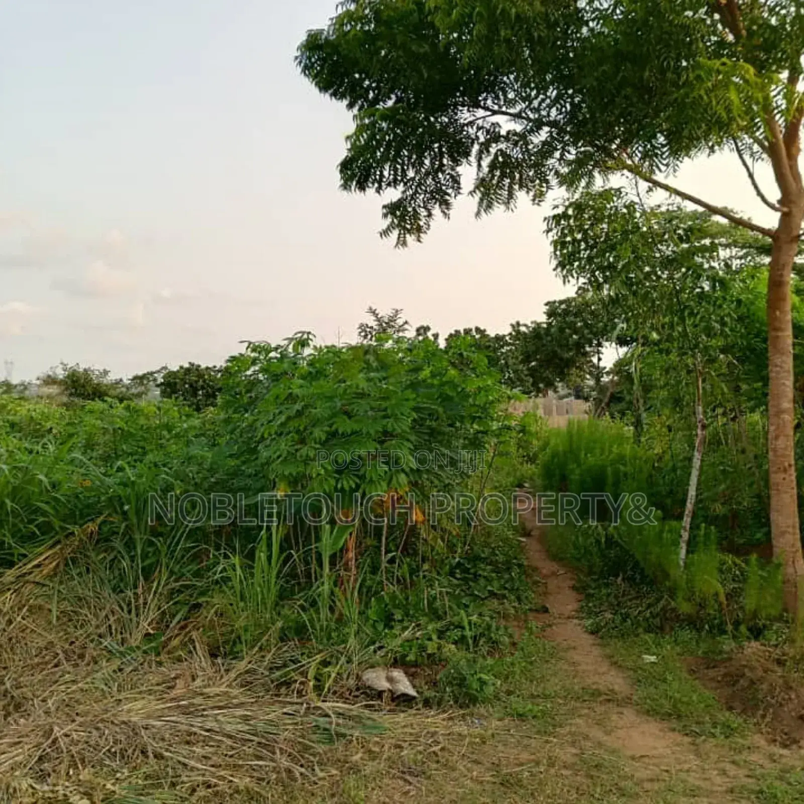 2 Half Plot of Dry Land at Okeore Ogun State
