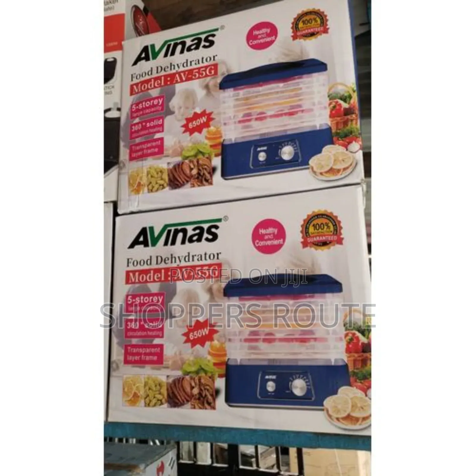 Avinas Electric Fruit Drying Machine Av 555gt