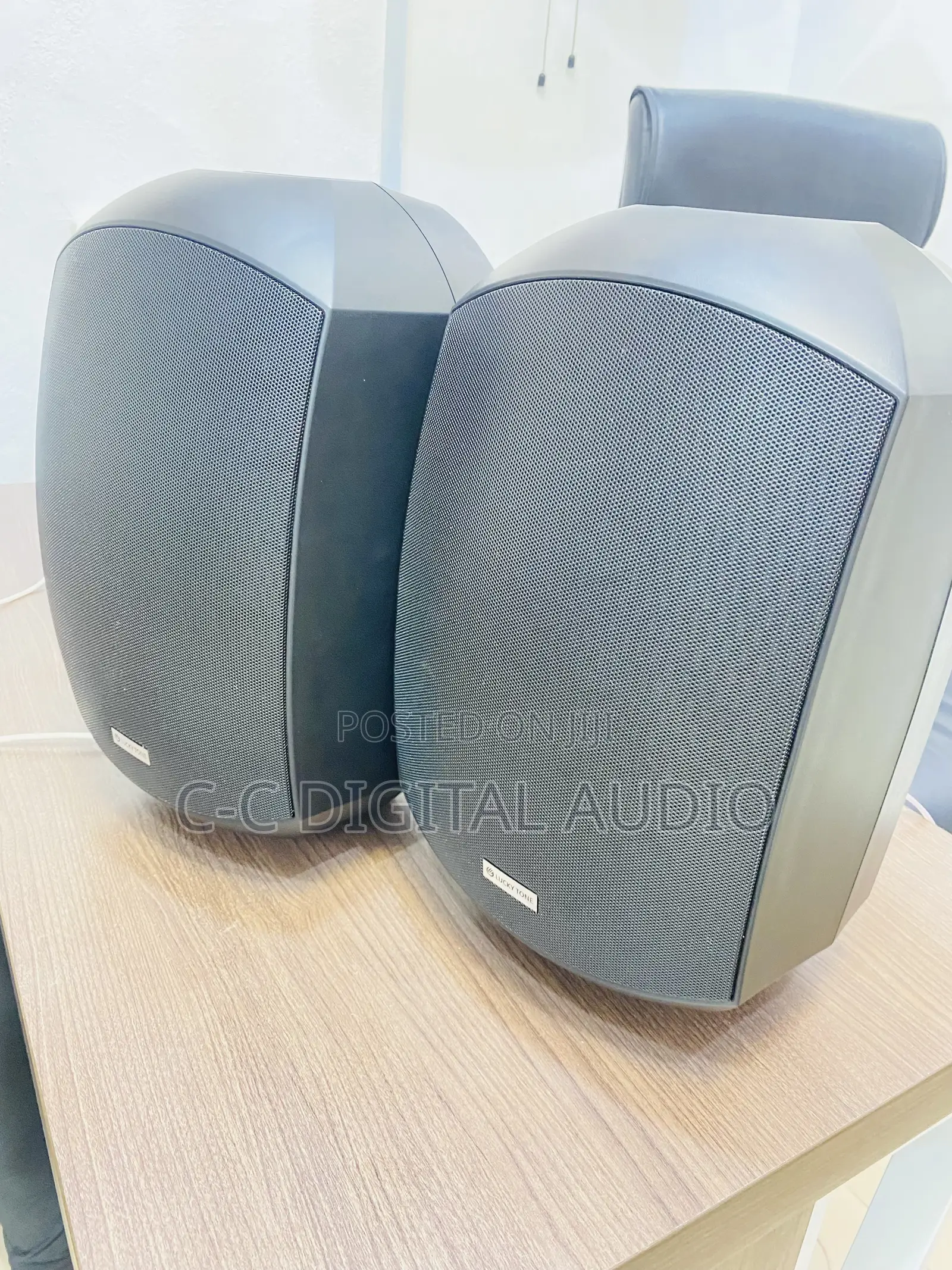 Lucky Tone Waterproof Outdoor Speaker