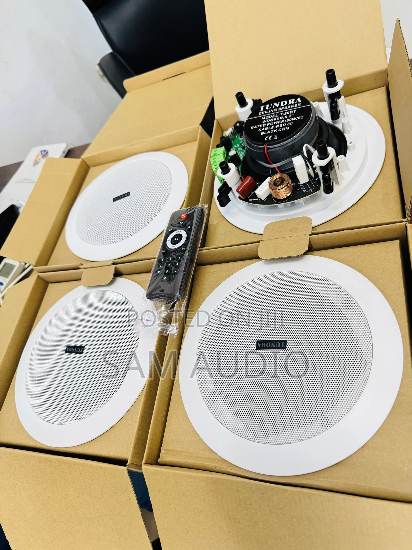 Tundra Four In One Bluetooth Ceiling Speaker