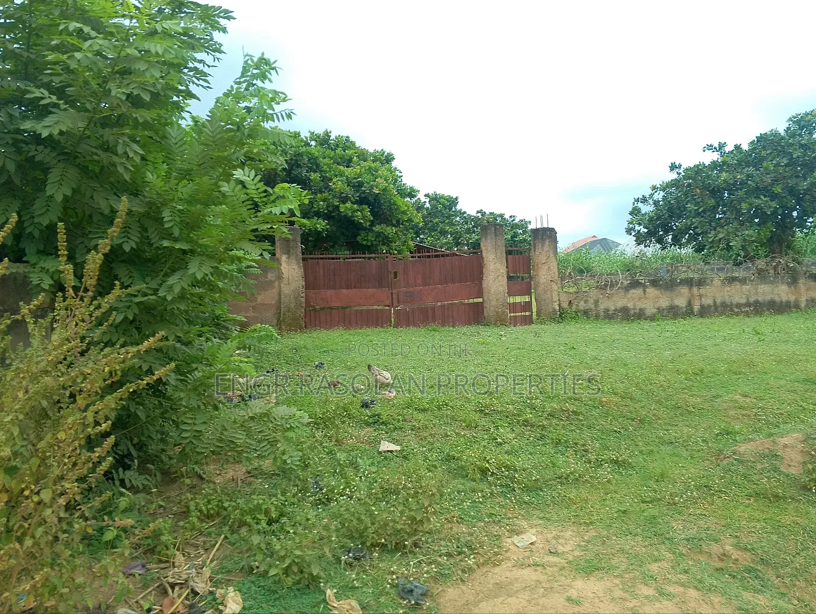 Land Fir for Sale 8 Plots