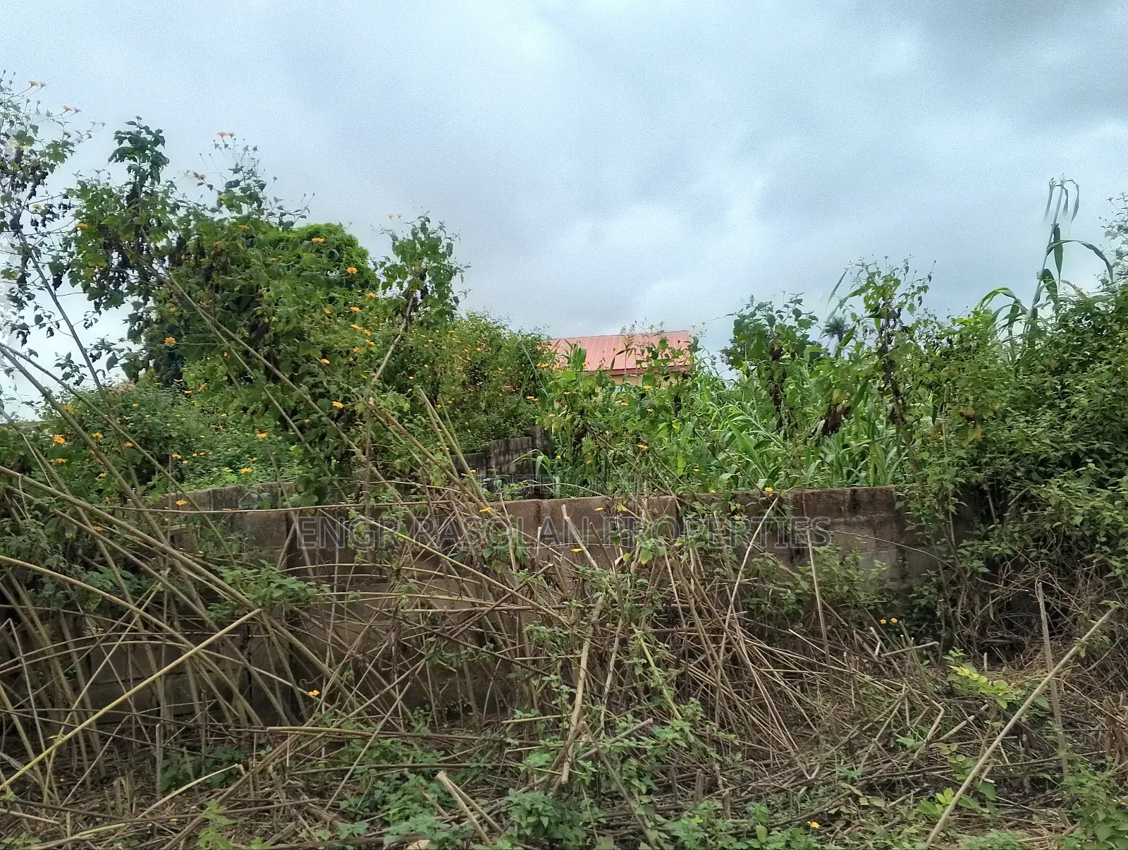 Land Fir for Sale 8 Plots