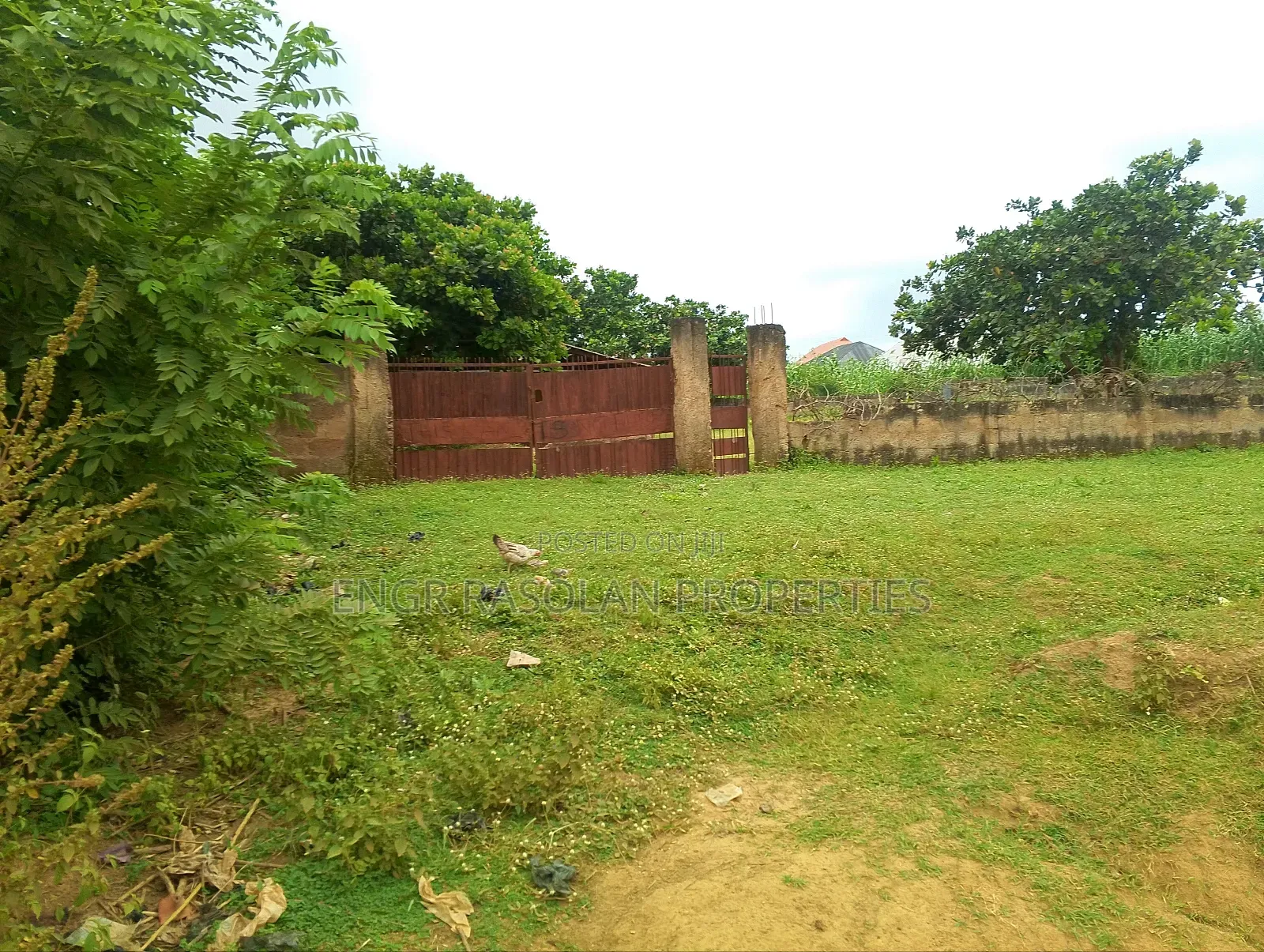 Land Fir for Sale 8 Plots