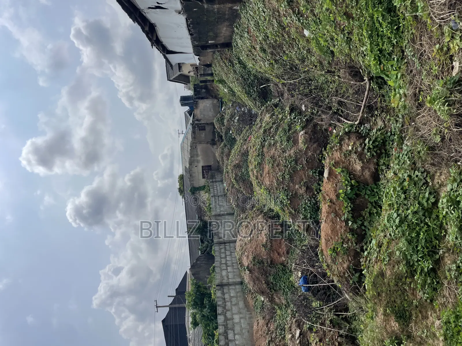 A Complete Half Plot of Land in a Serene Environment