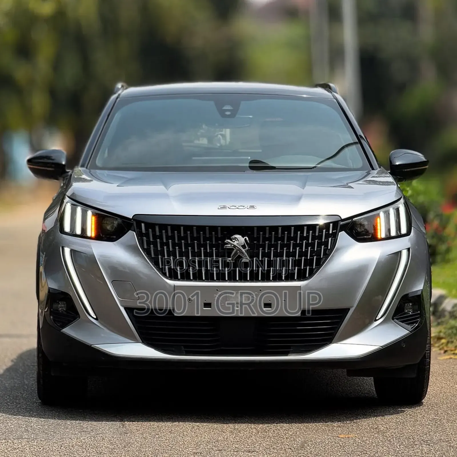 Peugeot 2008 2021 Gray