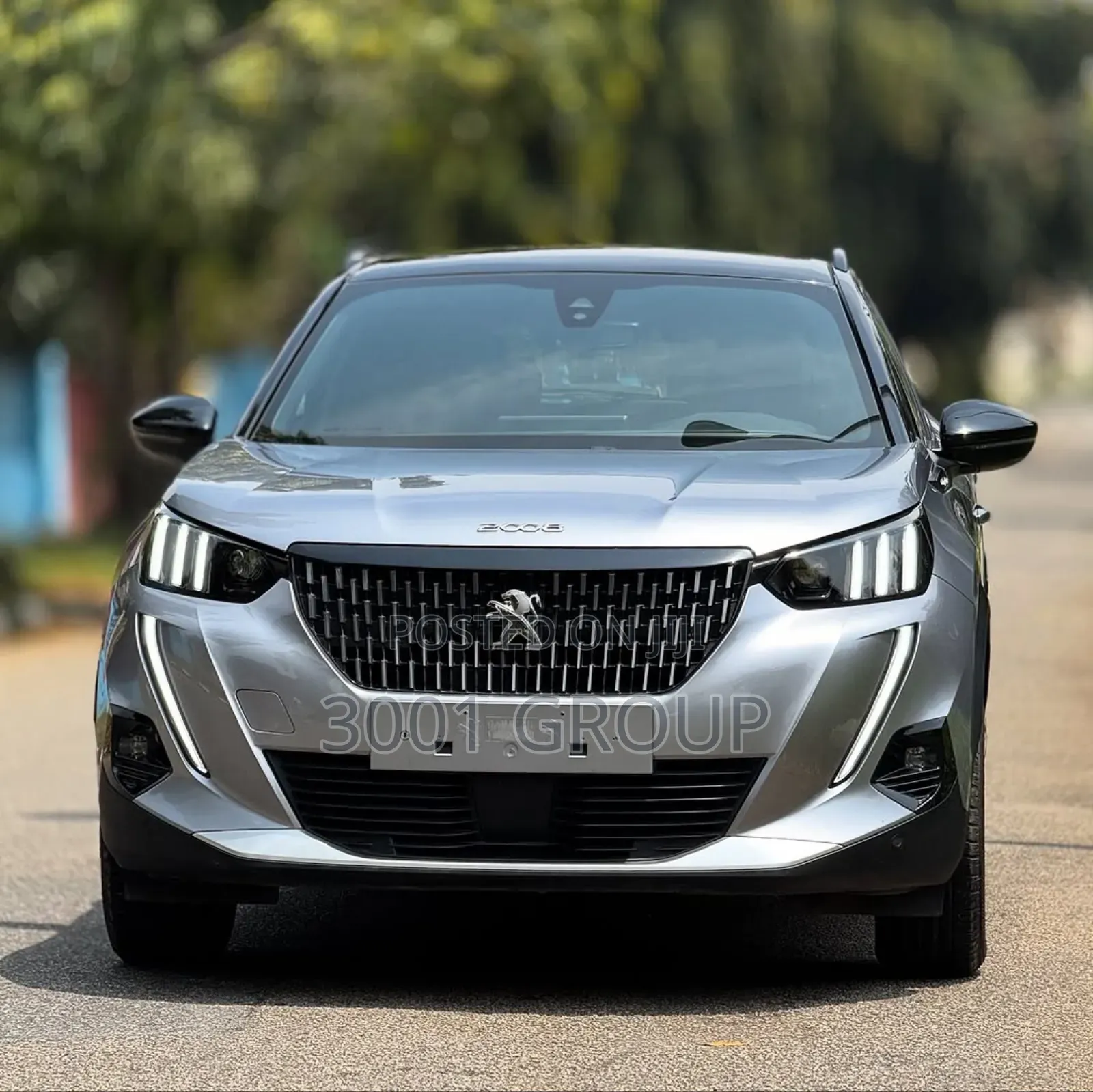 Peugeot 2008 2021 Gray