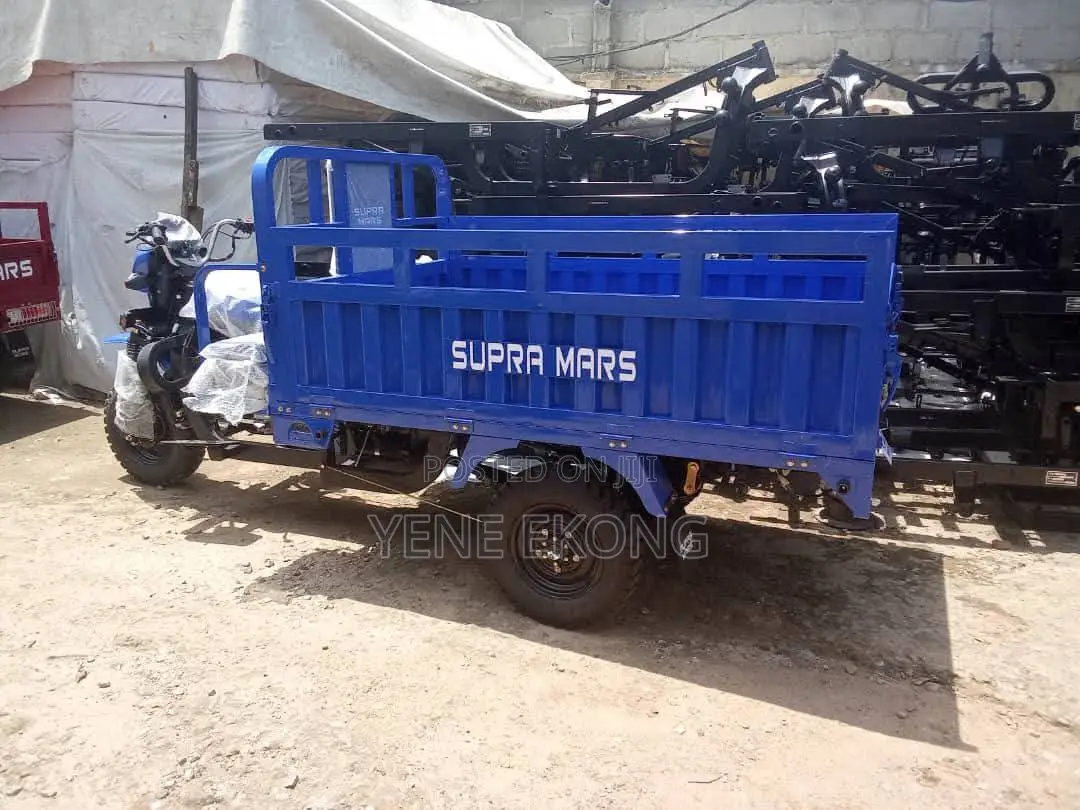 New Super Gallant 2025 Blue