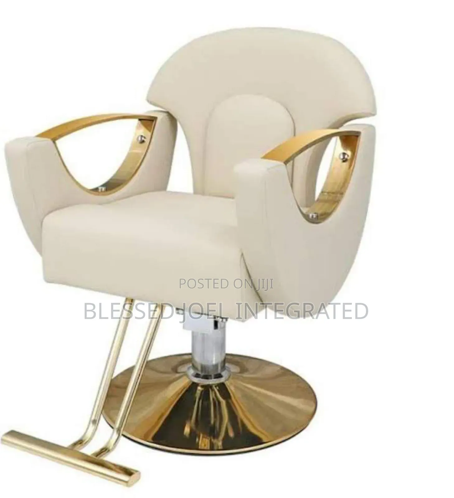 Beautiful Saloon Chair