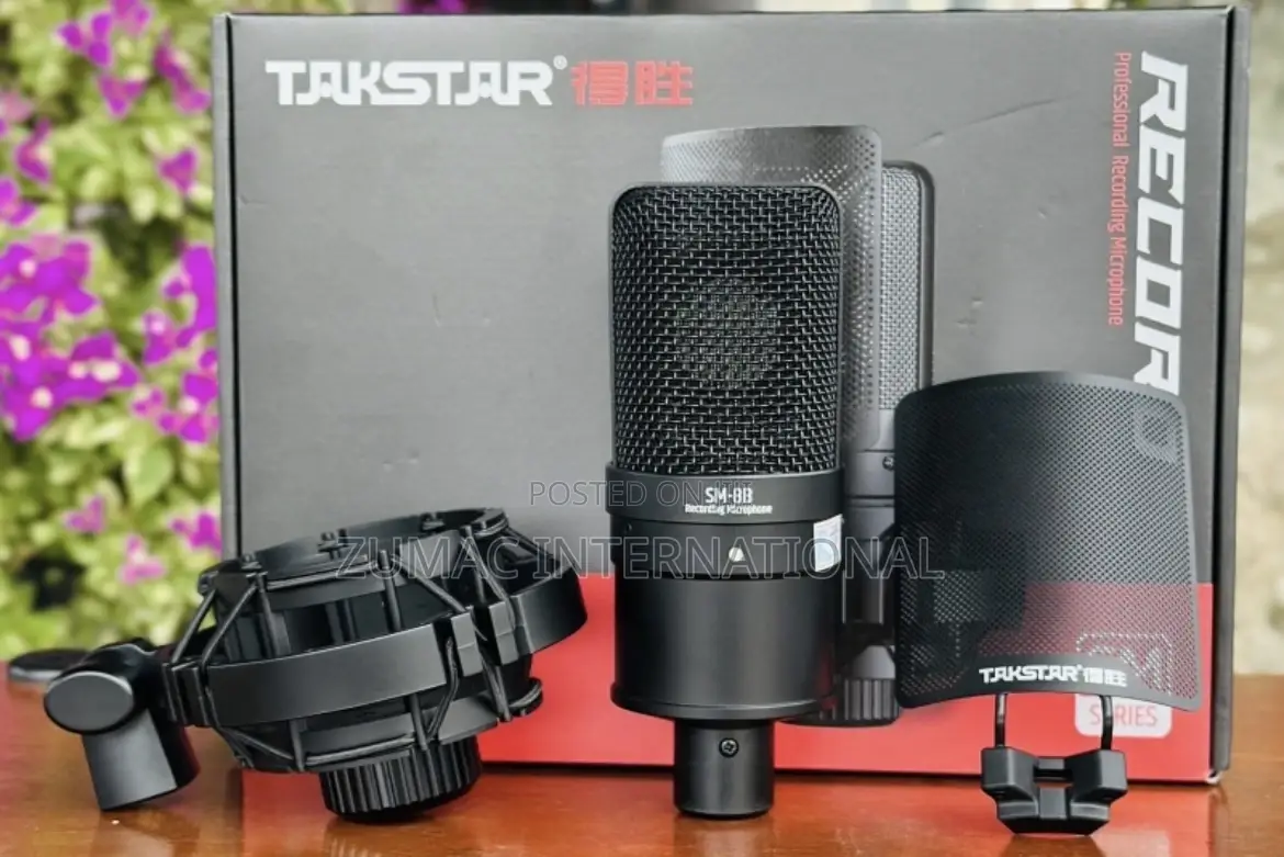 Takstar Sm8b Mic