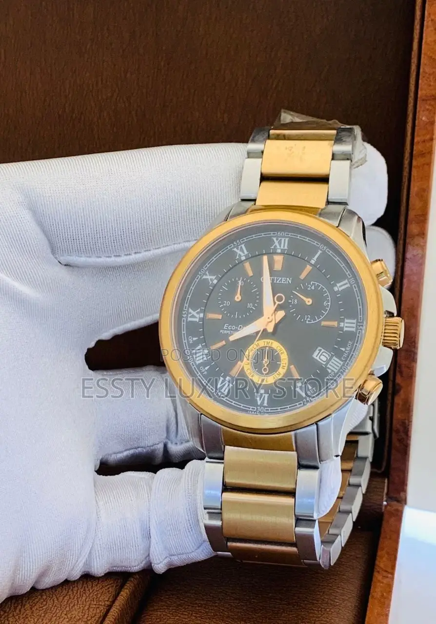 Citizen Chronograph Chain Wrist Watch