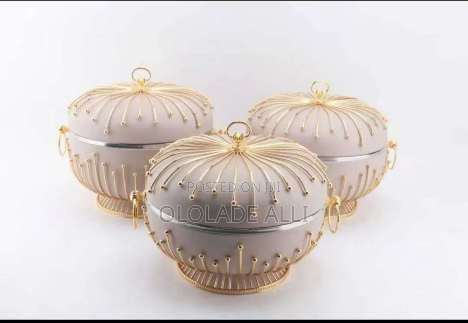 Elegant Thermos Food Warmer
