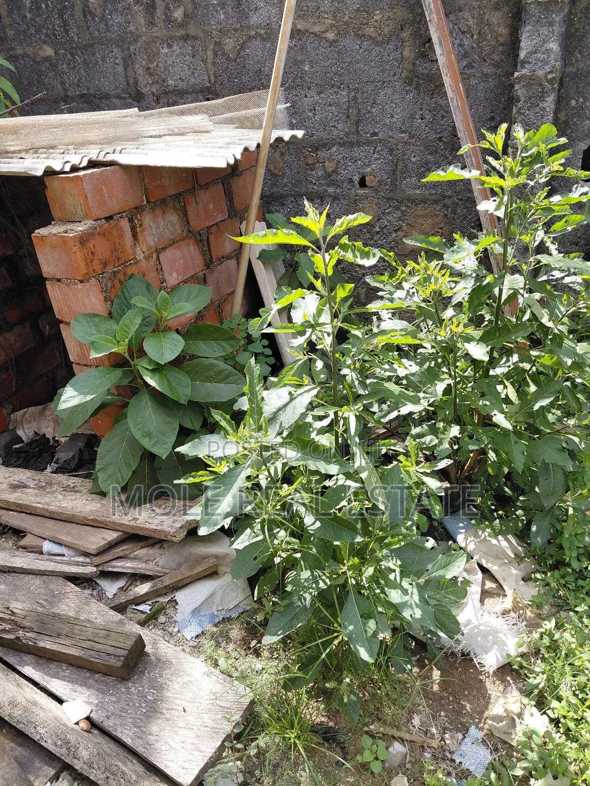 1000sqm ( 2 Plots) Joint Venture Allen Avenue Ikeja