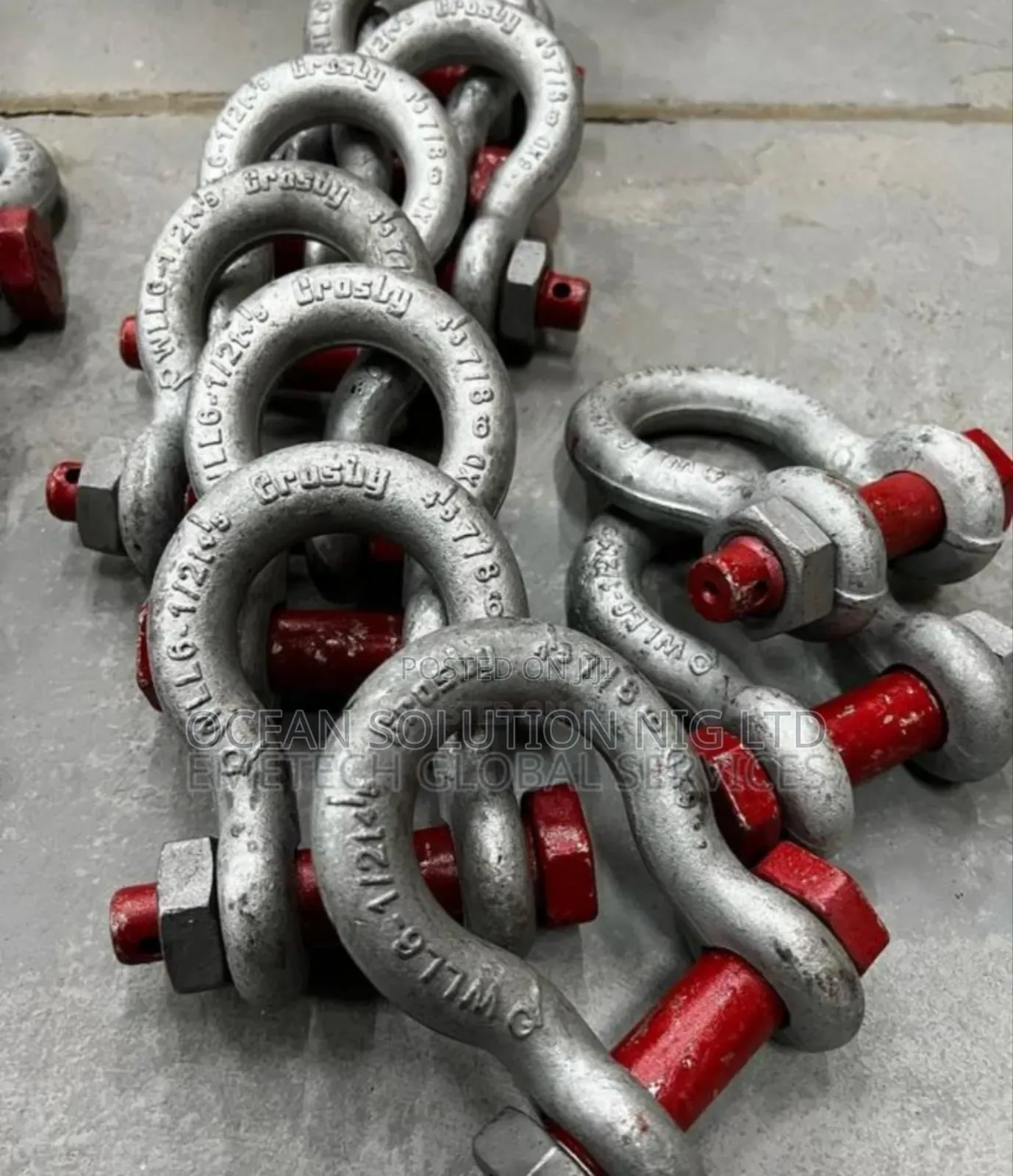 Shackle All Sizes Available