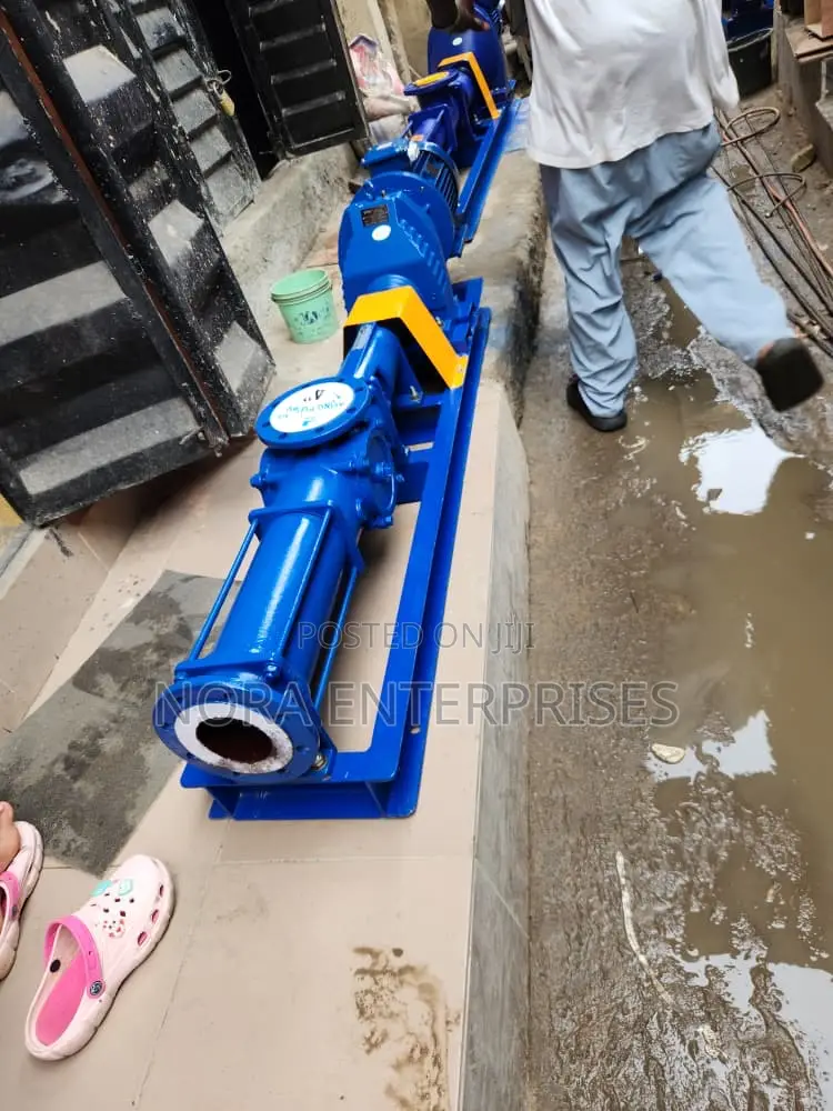 Complete Coupled Mono Screw Pump 10hp (Inlet/Outlet 100/80)