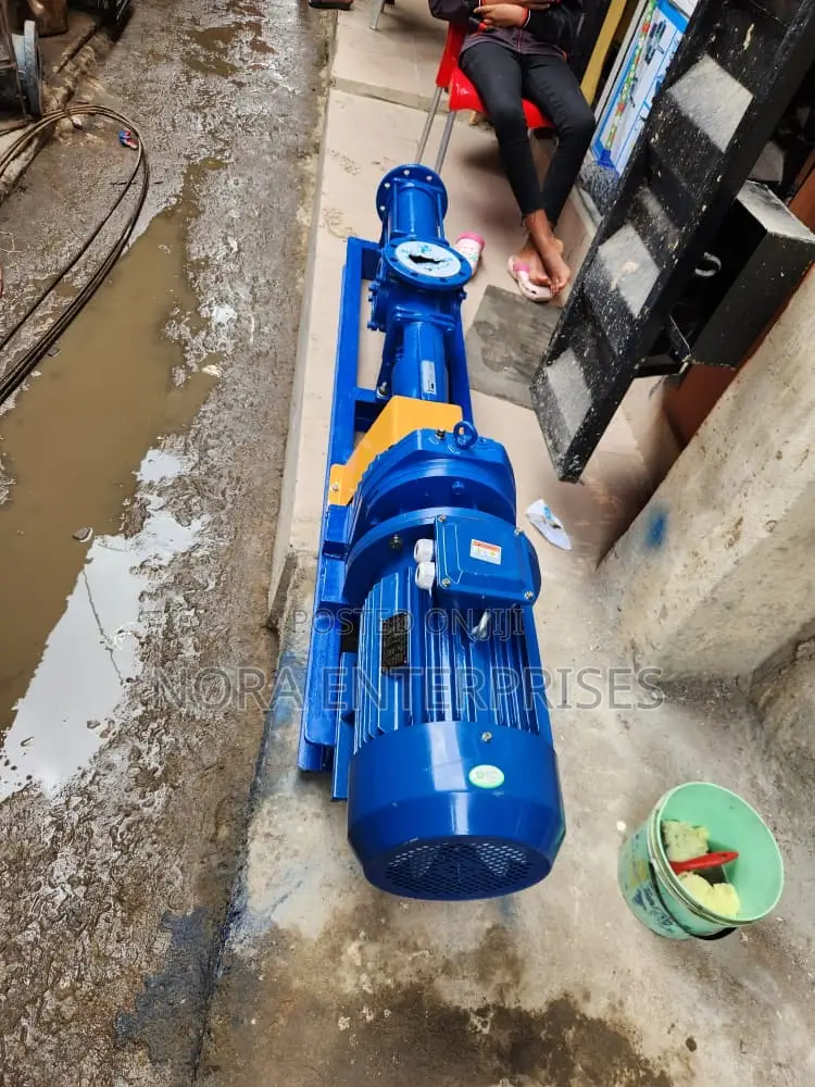 Complete Coupled Mono Screw Pump 10hp (Inlet/Outlet 100/80)
