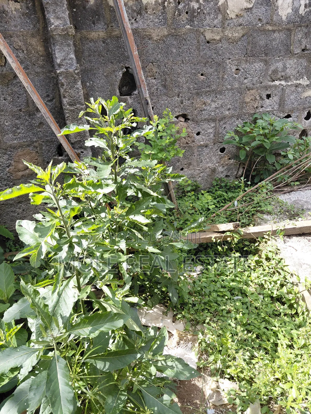 1820sqm (3 Plots ) Commercial Facing Akowonjo Rd Egbeda