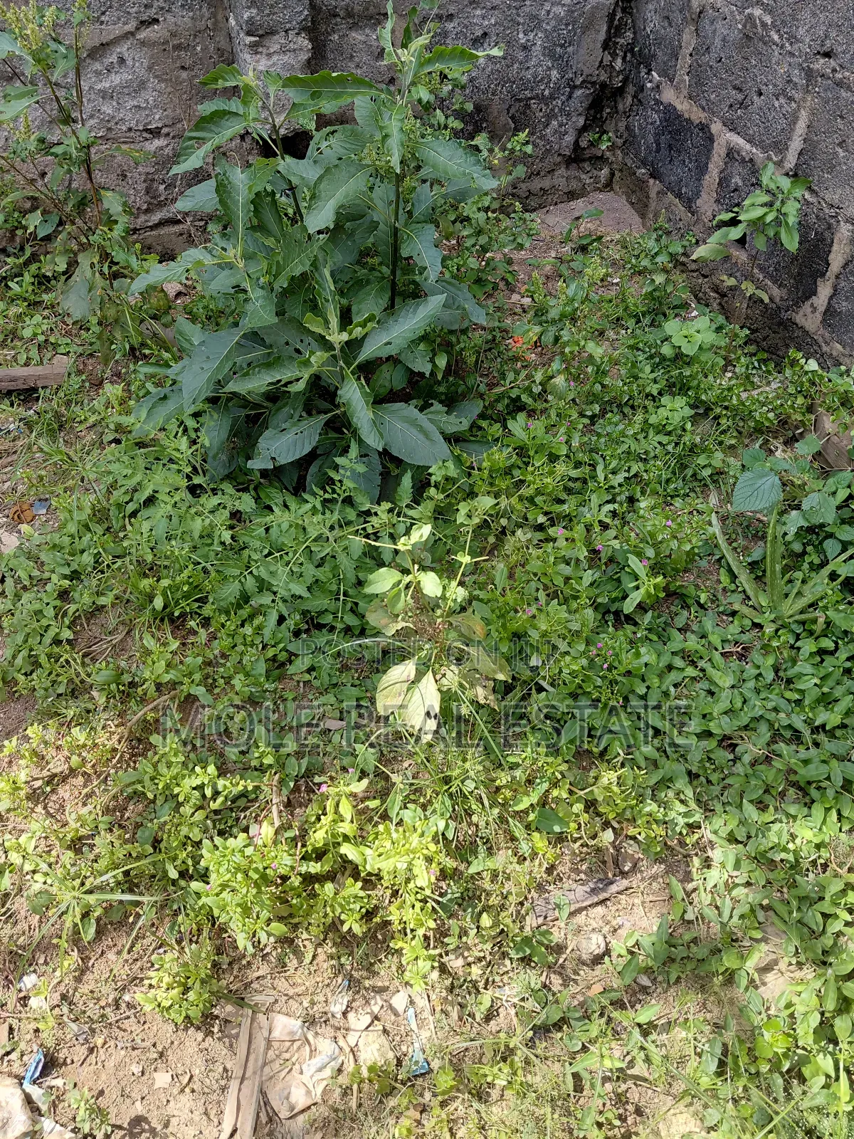600sqm Full Plot Across Street to Ijegun Last Bustop