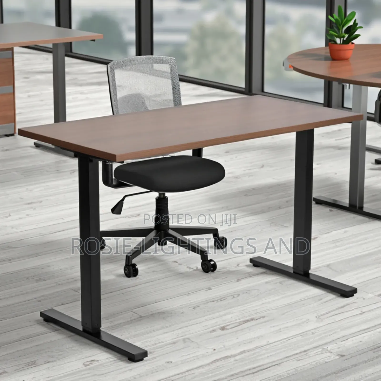 Studio /Office Electric Adjustable Table - 1.2metre( Walnut Top)