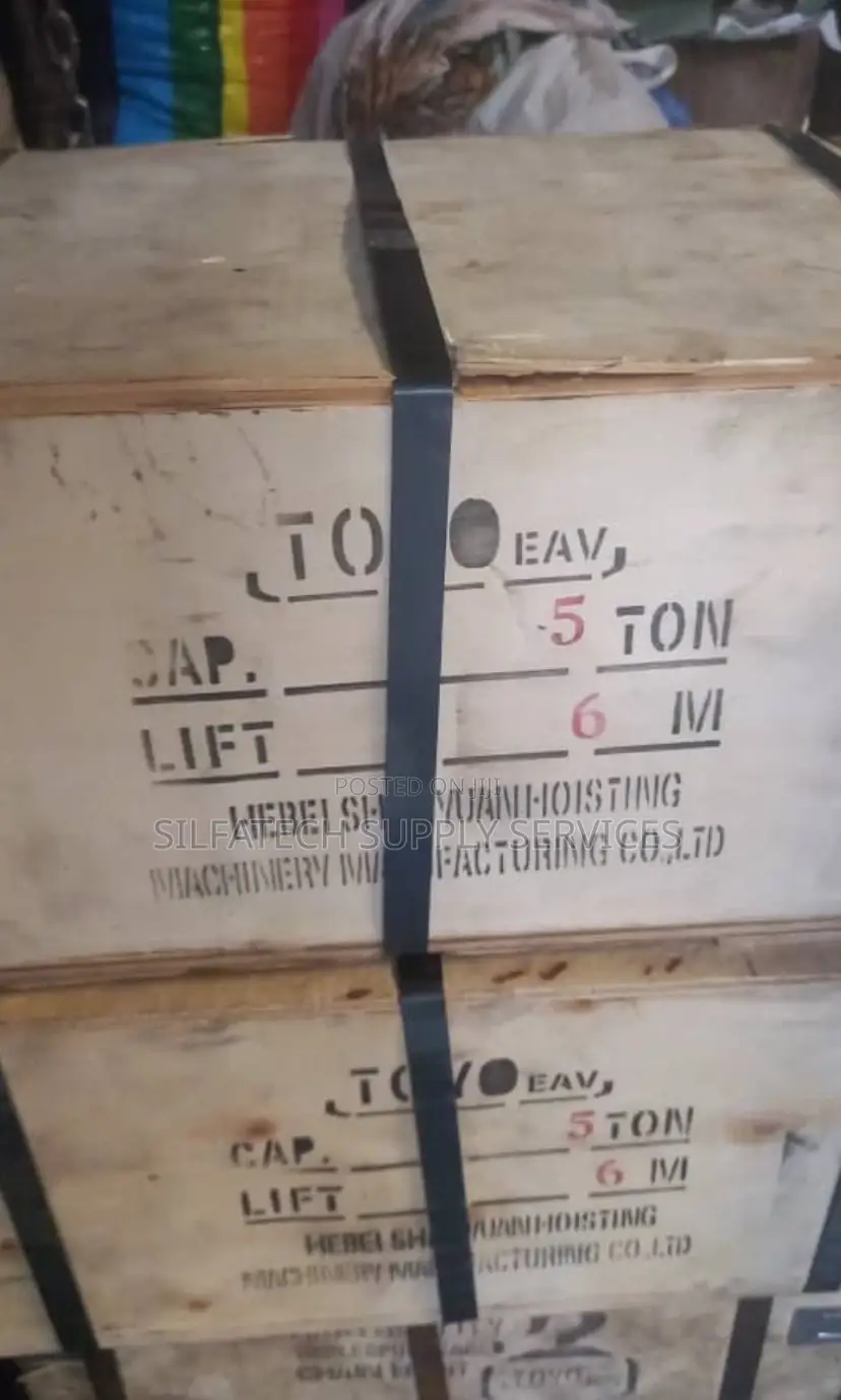 5t X 6m Toyo Chainblock