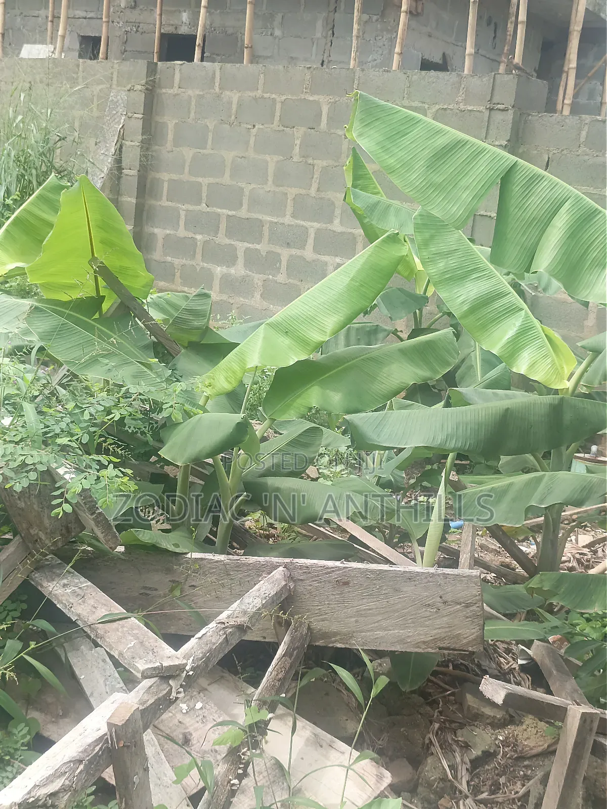 277sqm Virgin Land for Sale in Maplewood Estate Oko Oba Agege