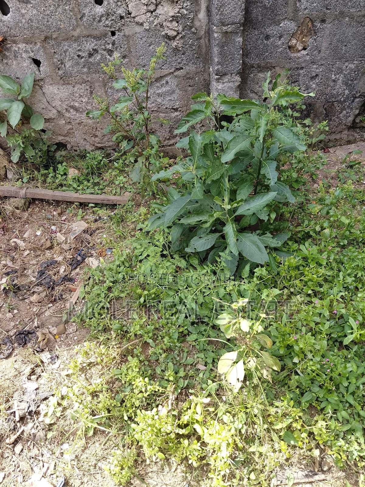 903sqm Plot (Joint Venture ) Ilupeju Lagos State