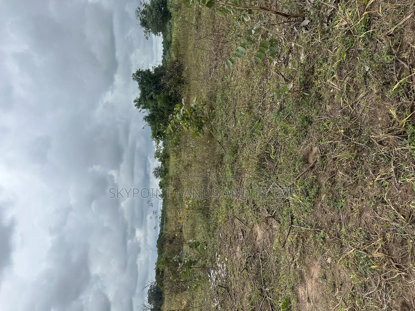 100 Acres of Land Available at Iwoye/Irogun.Via Ilaro Ogun State