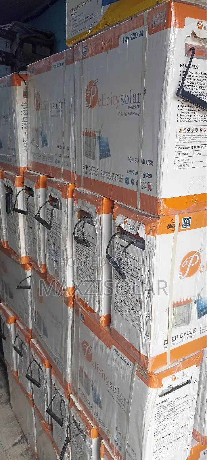 220ah Pelicity Tubular Battery
