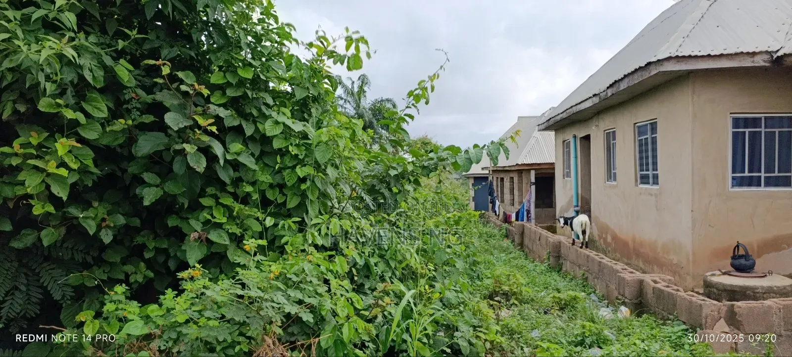 3 Plot of Land at Onipepeye by Asamajana Road Moniya Ibadan
