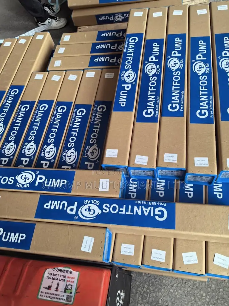 The Giantfos Dc Solar Submersible Pump Affordable Price
