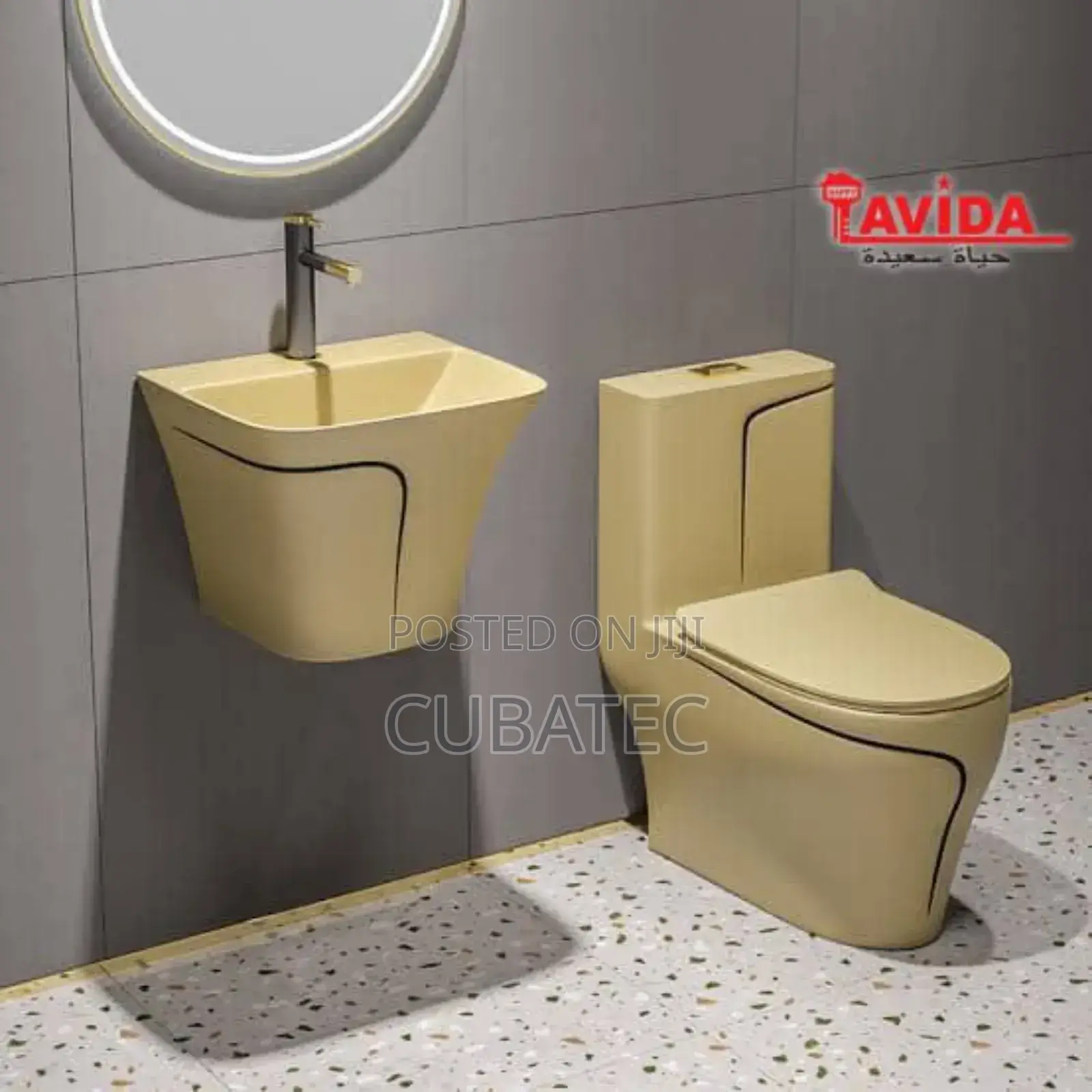 Luxury Toilet Seat And Basin