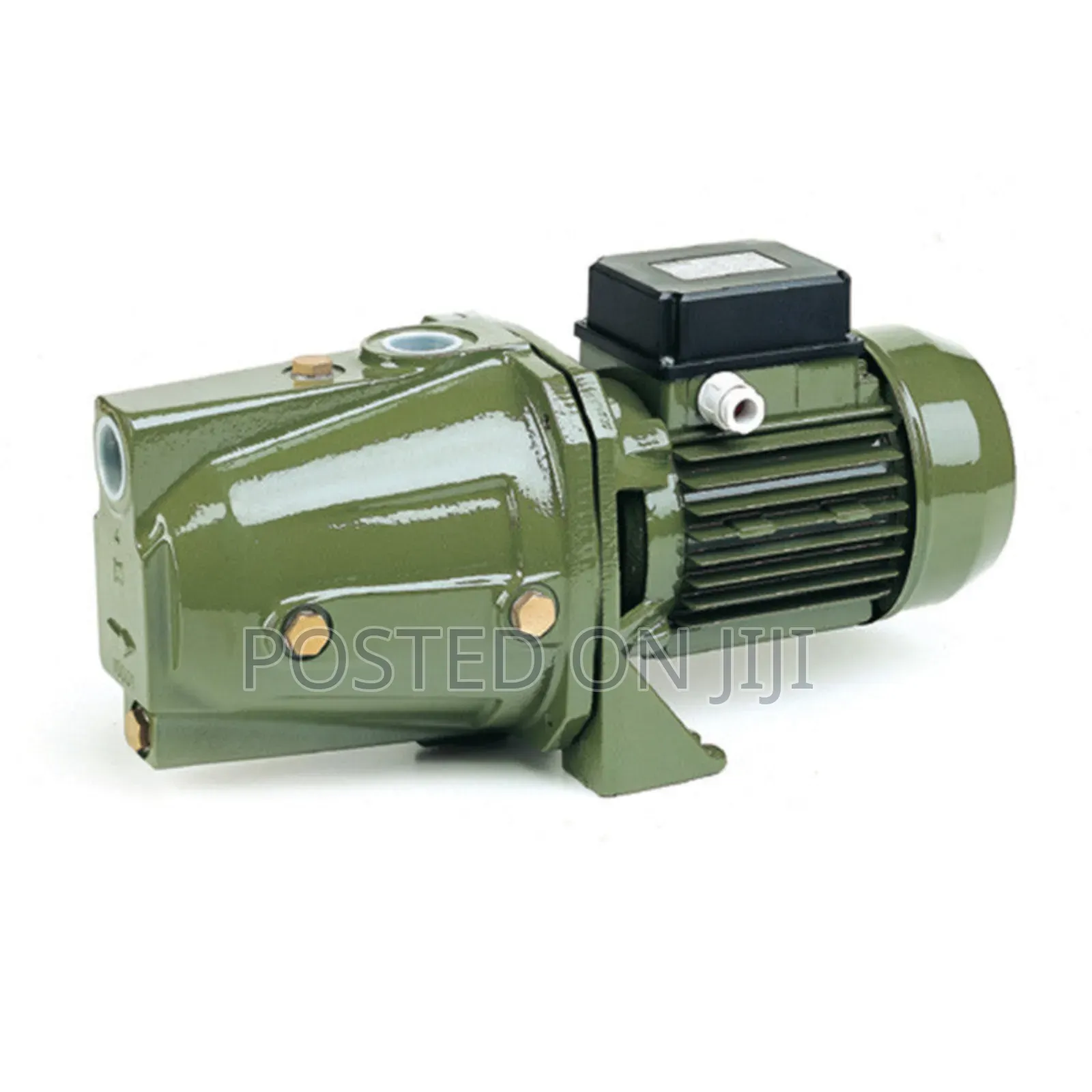 Submersible and Surface Water Pump