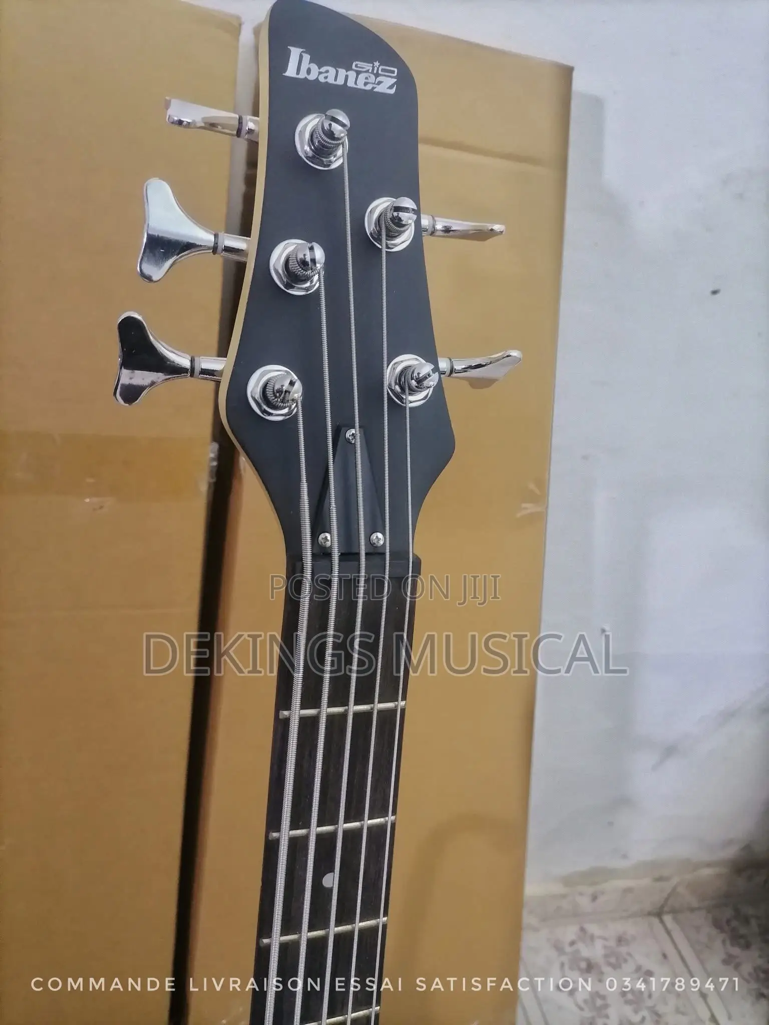 Ibanez 5 Strings Bass Guitar - Passive Bass Guitar
