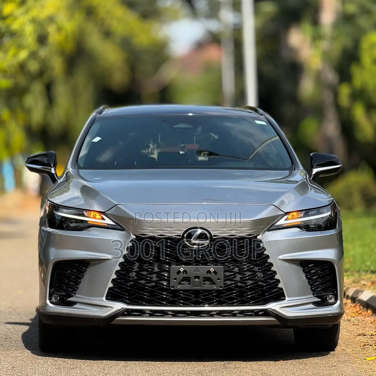 Lexus RX 2024 Gray