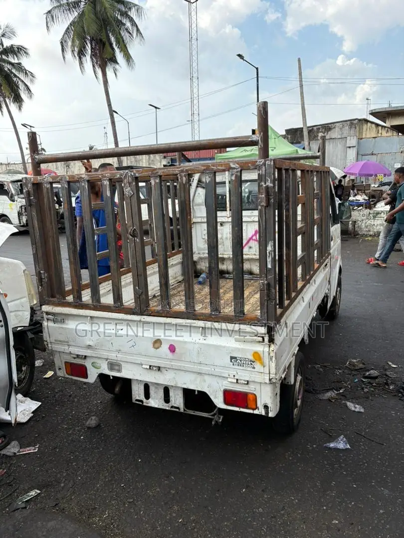 New Model Suzuki Carry Pickup With Burglary