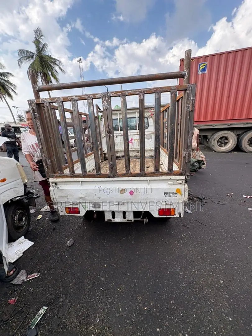New Model Suzuki Carry Pickup With Burglary